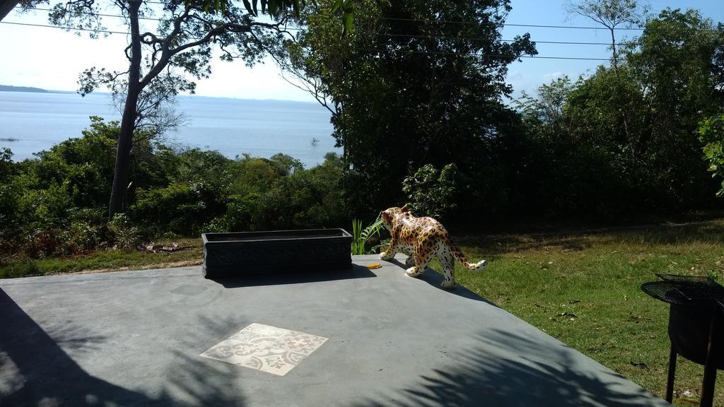 Casa Varanda Do Tupe マナウス エクステリア 写真