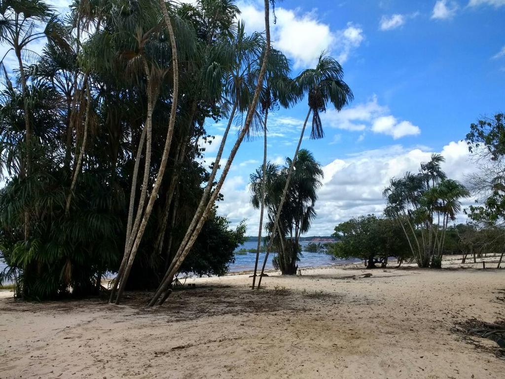 Casa Varanda Do Tupe マナウス エクステリア 写真